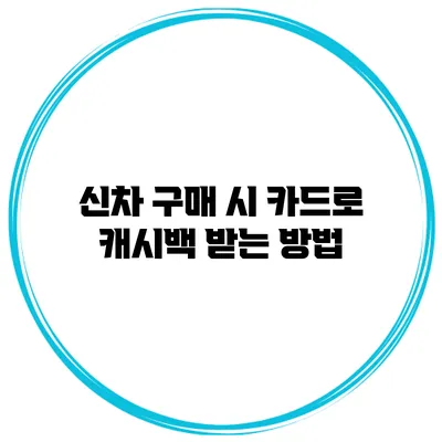 신차 구매 시 카드로 캐시백 받는 방법