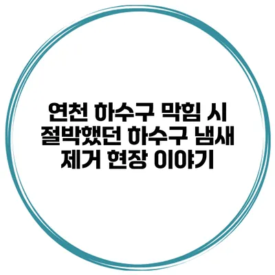 연천 하수구 막힘 시 절박했던 하수구 냄새 제거 현장 이야기