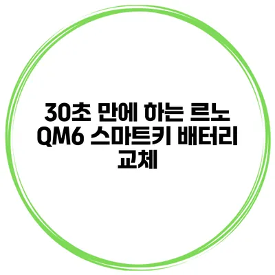 30초 만에 하는 르노 QM6 스마트키 배터리 교체
