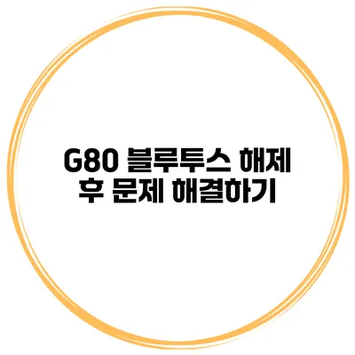 G80 블루투스 해제 후 문제 해결하기