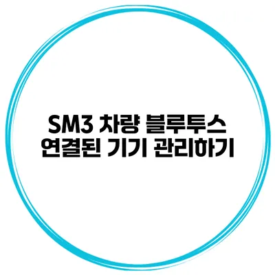 SM3 차량 블루투스 연결된 기기 관리하기