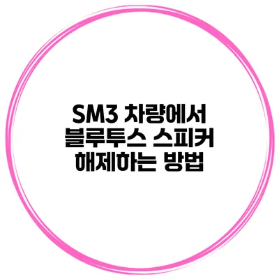 SM3 차량에서 블루투스 스피커 해제하는 방법