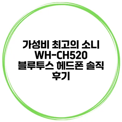 가성비 최고의 소니 WH-CH520 블루투스 헤드폰 솔직 후기