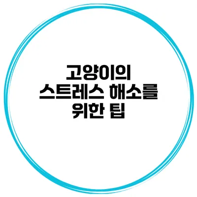 고양이의 스트레스 해소를 위한 팁