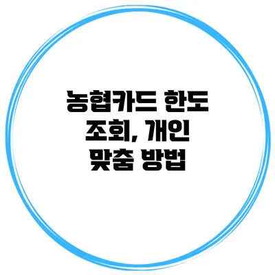 농협카드 한도 조회, 개인 맞춤 방법