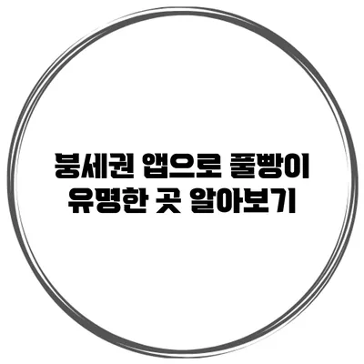 붕세권 앱으로 풀빵이 유명한 곳 알아보기