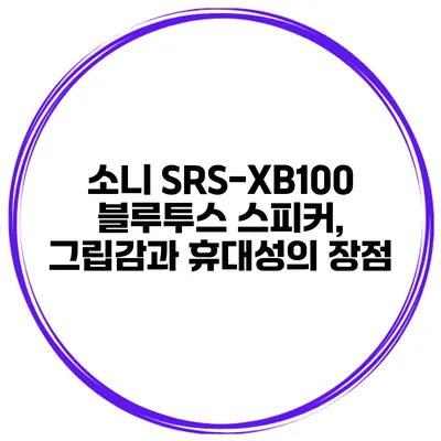 소니 SRS-XB100 블루투스 스피커, 그립감과 휴대성의 장점