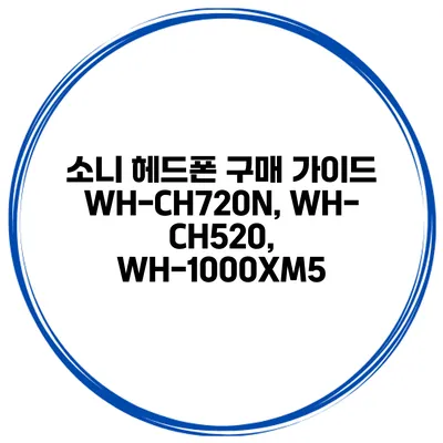 소니 헤드폰 구매 가이드 WH-CH720N, WH-CH520, WH-1000XM5