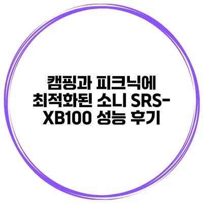 캠핑과 피크닉에 최적화된 소니 SRS-XB100 성능 후기